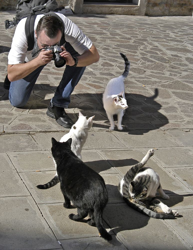 Photograph by Александр Лысенко
