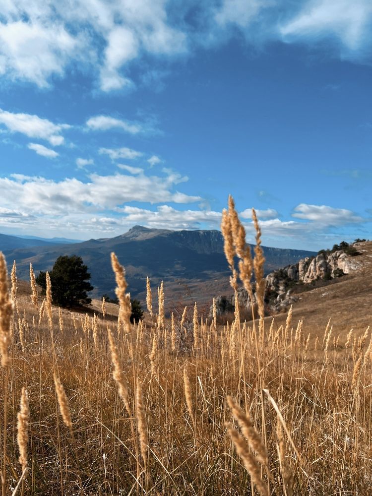 Photograph by Анастасия Долбунова