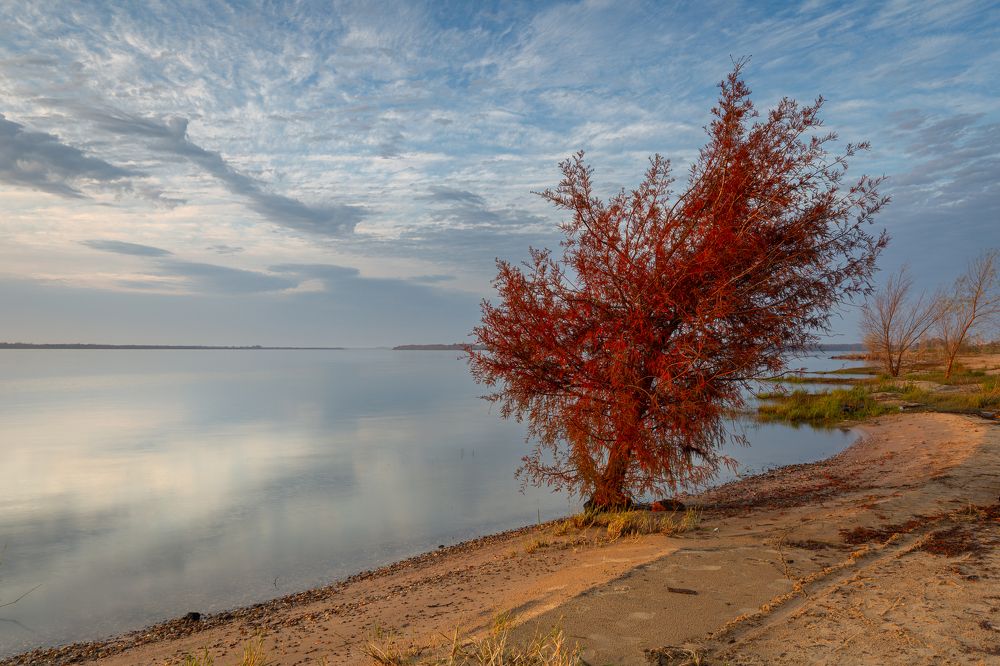 Photograph by Javier Benitez