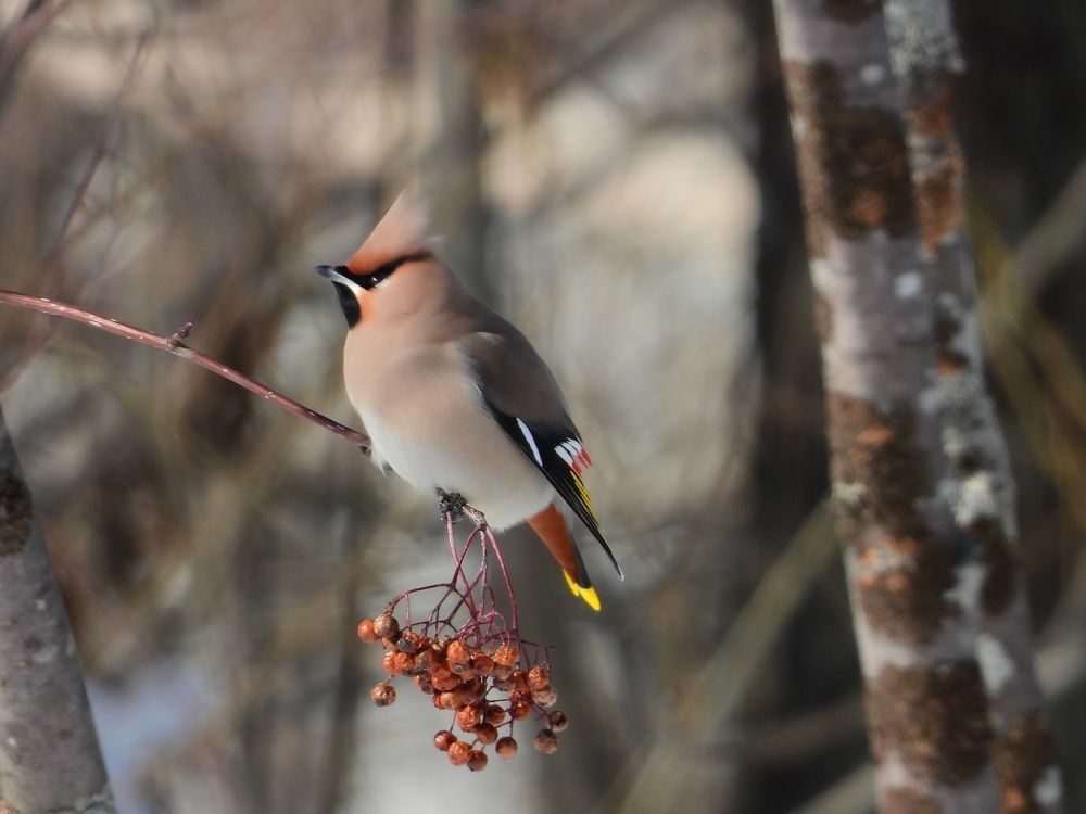 Photograph by Алексей Исаченко