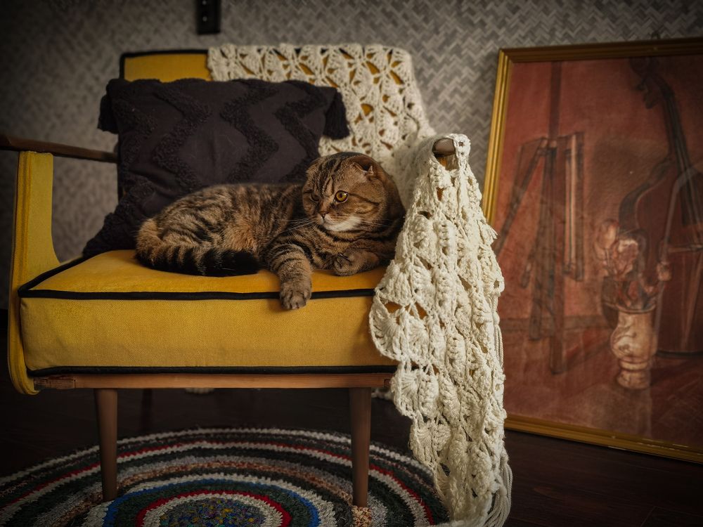 Photograph by Екатерина Яричева