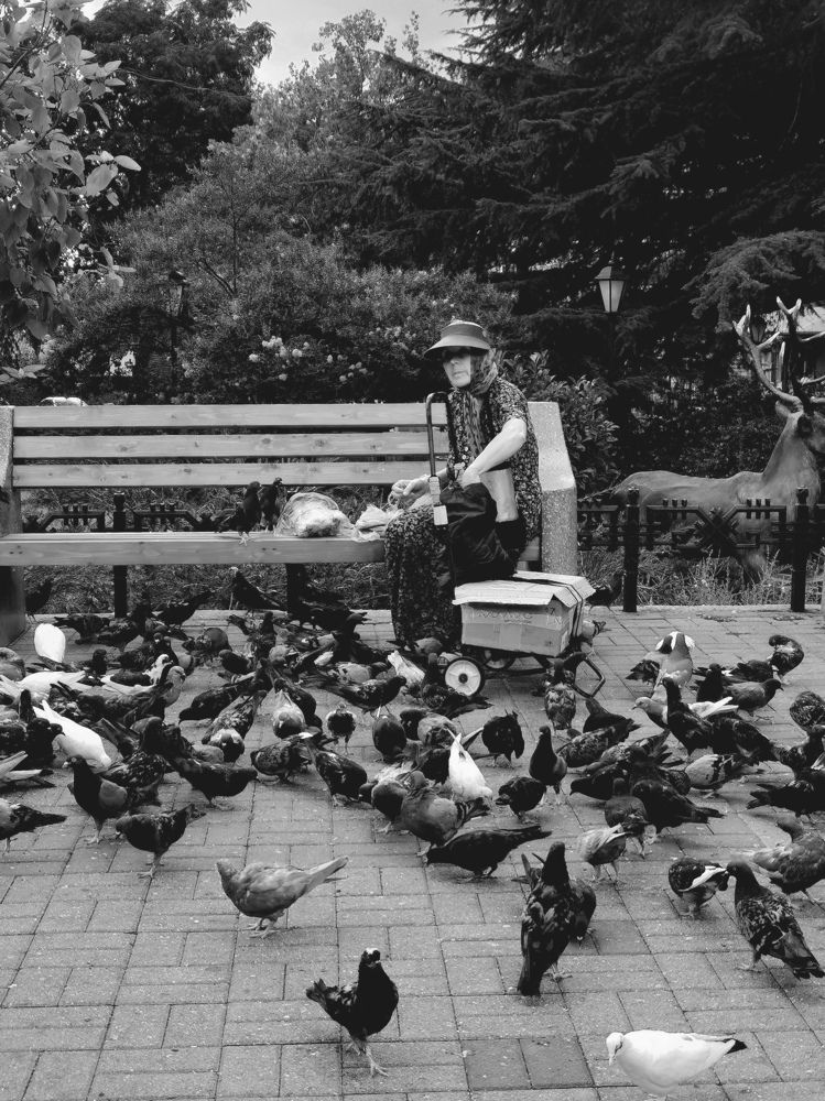 Photograph by Елена Кустова