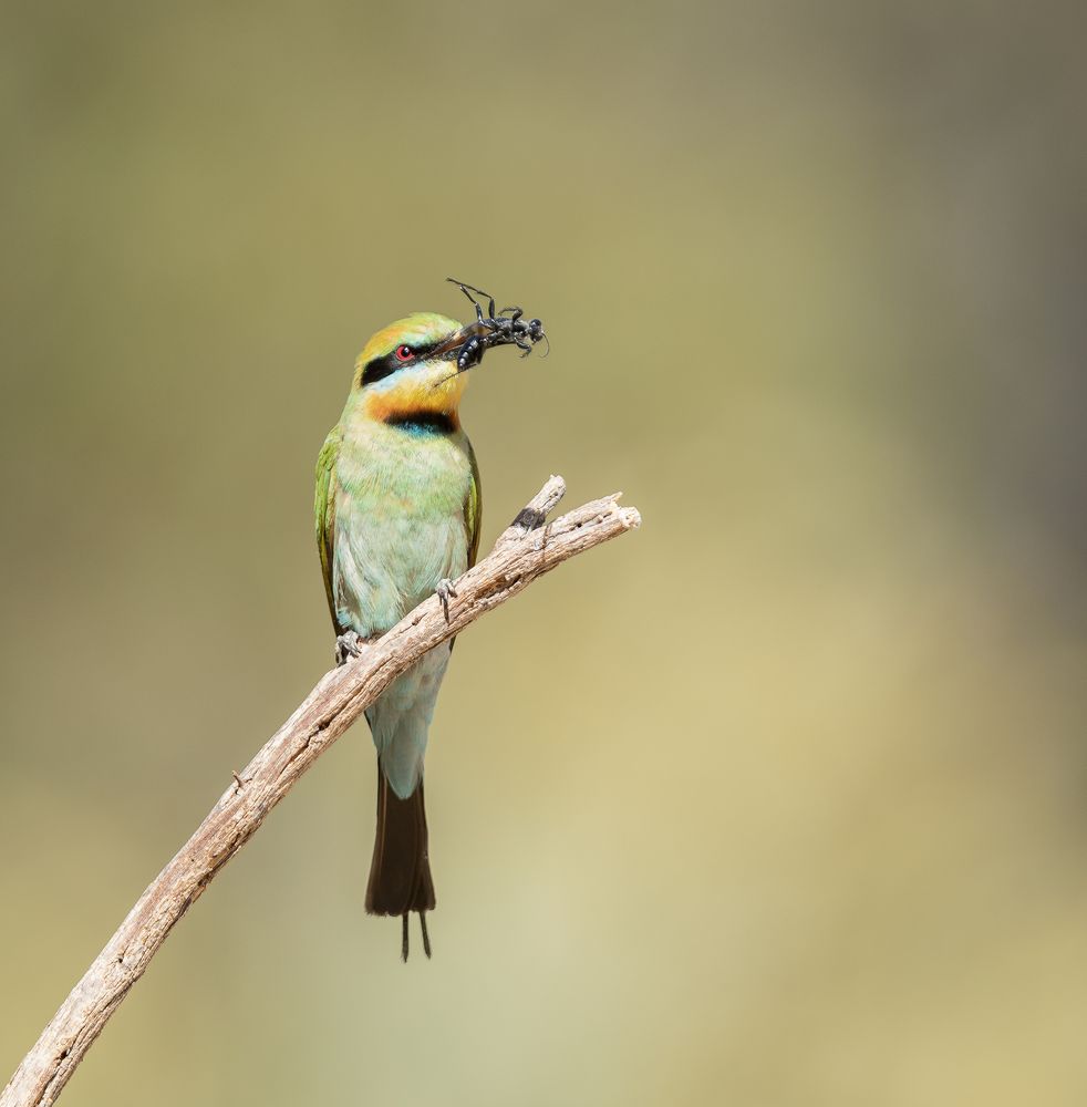 Photograph by Dennis Vagner