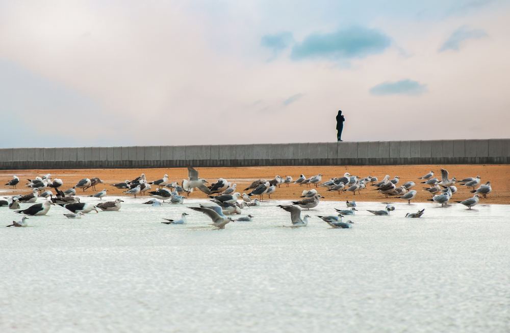 Photograph by Farshad Yazdankhah