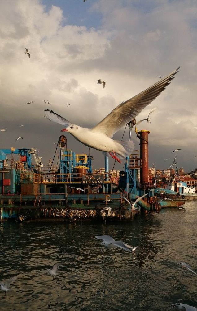 Photograph by Waleed montasser