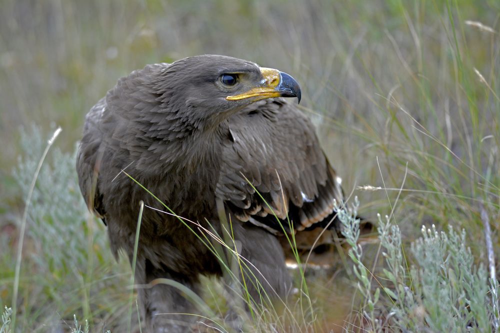 Photograph by Владимир Шпак