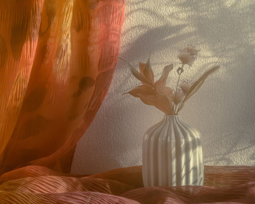 Вечерняя нежность уходящего дня...