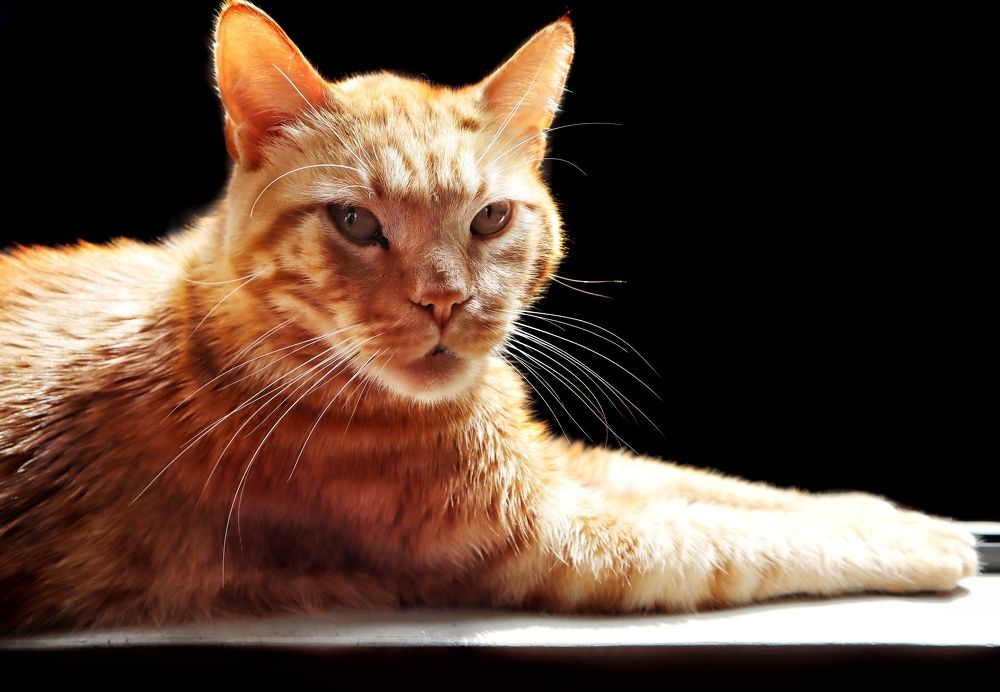 Photograph by Aytana Avila Vidalon