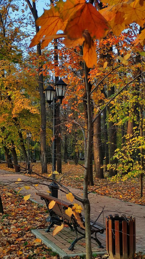 Photograph by Виктория Вялкова