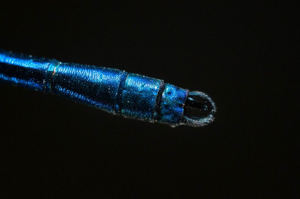 Photograph by Софья Лученкова