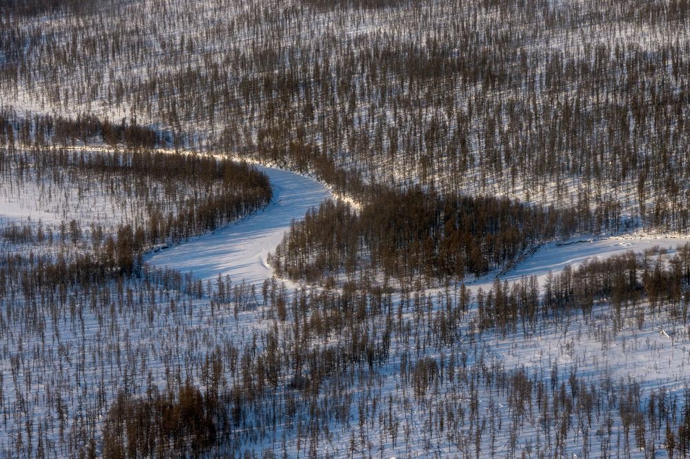 Фотография автора Ляшеев Дмитрий