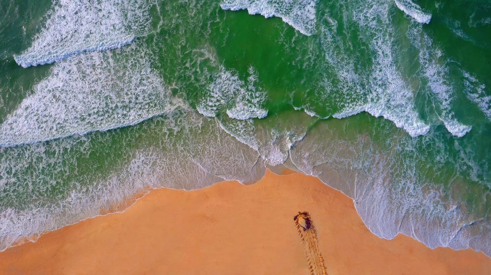 Photograph by salem sultan