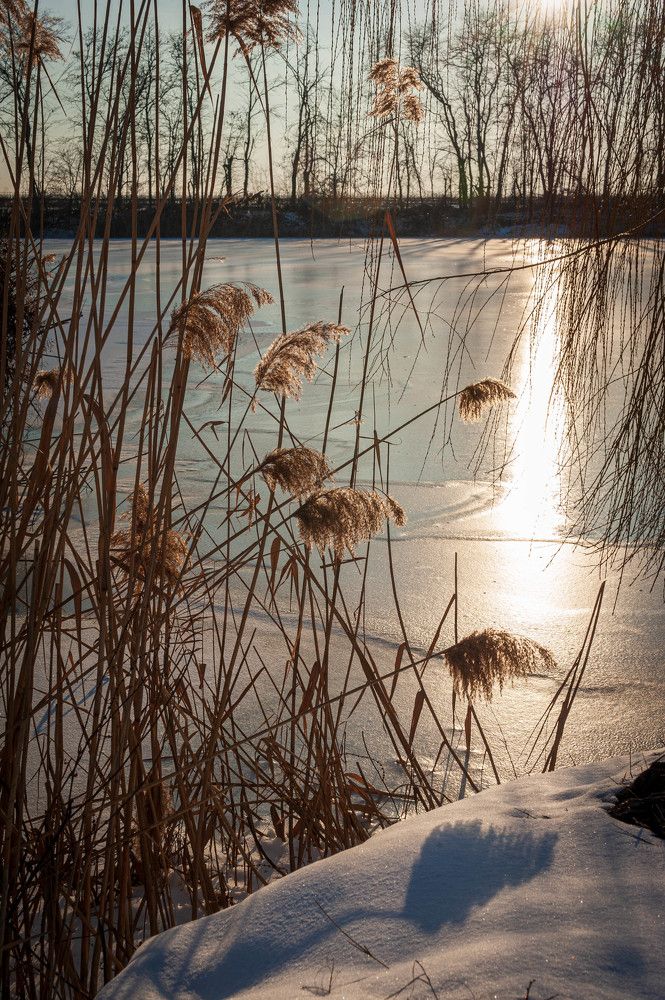 Photograph by Редько Александр