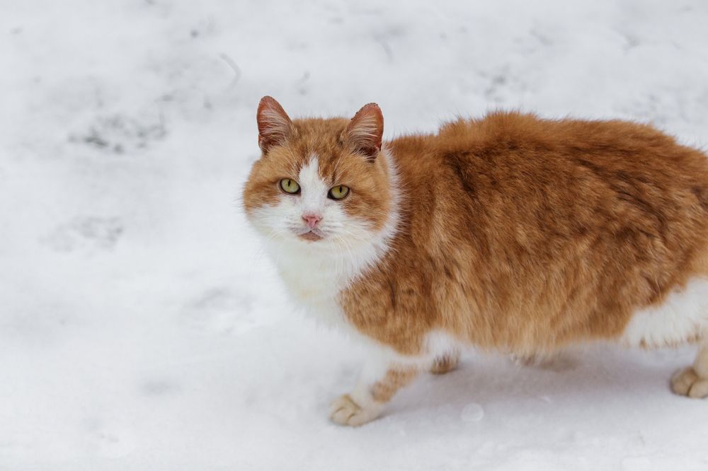 Photograph by Татьяна Семенова