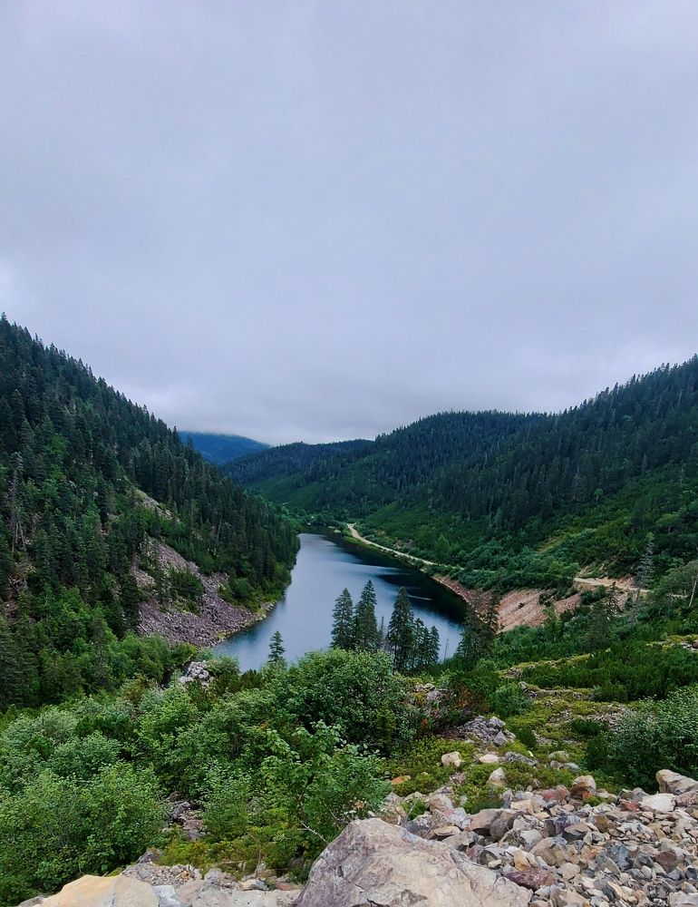 Photograph by Speed Girl