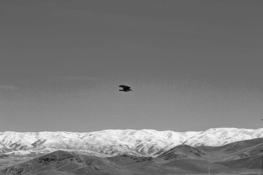 Photograph by Виктор Яхонтов