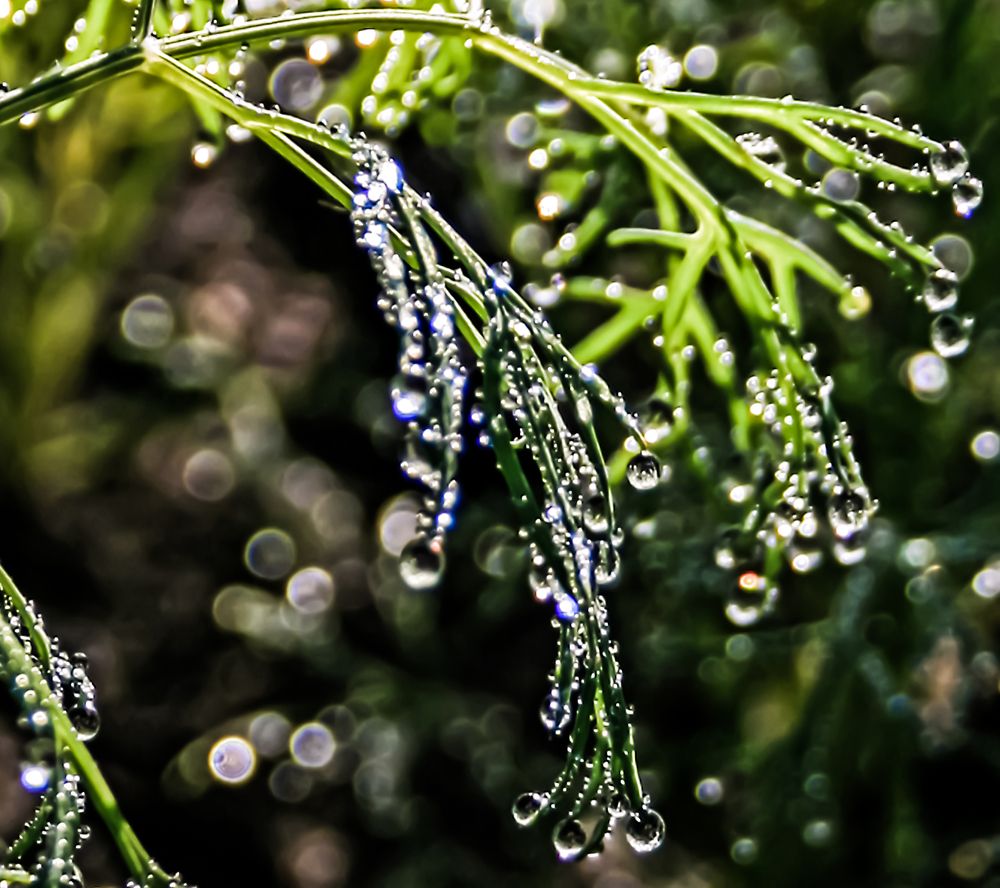 Photograph by Ирина Архипова