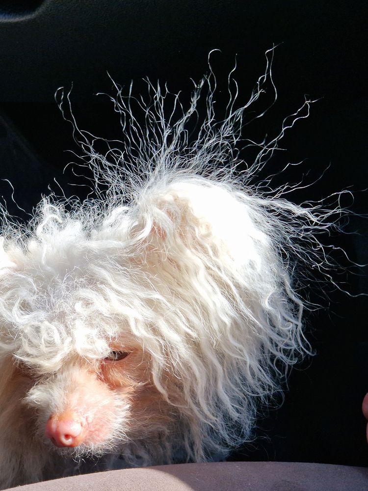 Photograph by Татьяна Пименкова