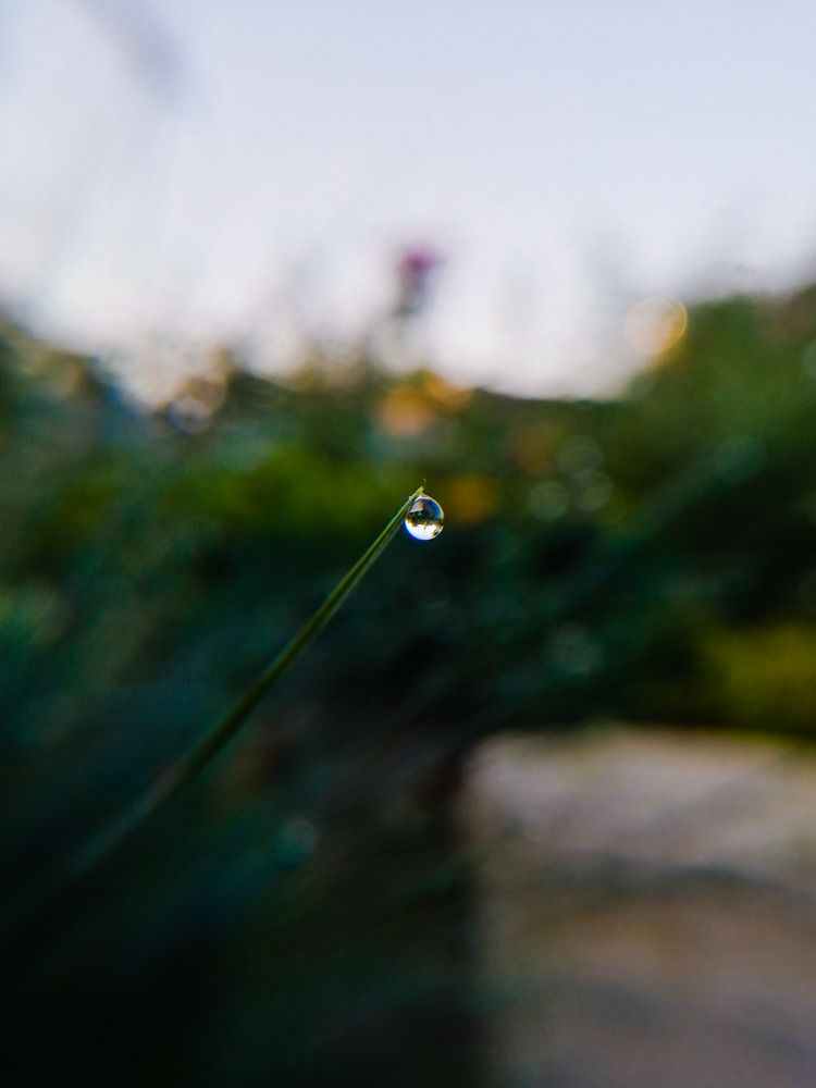 Photograph by Дарья Климова