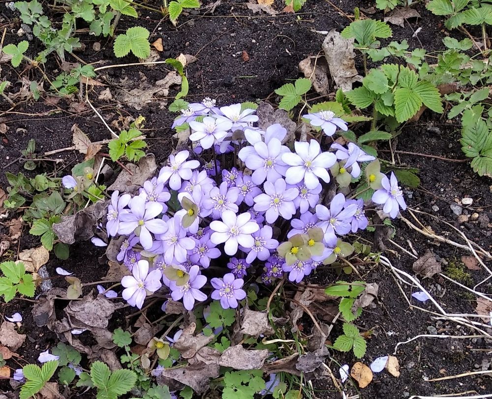 Photograph by Анна Виноградова