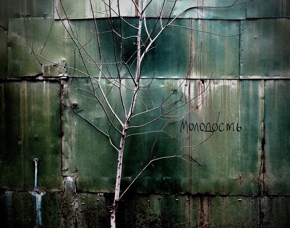 Photograph by Станислав Ситников