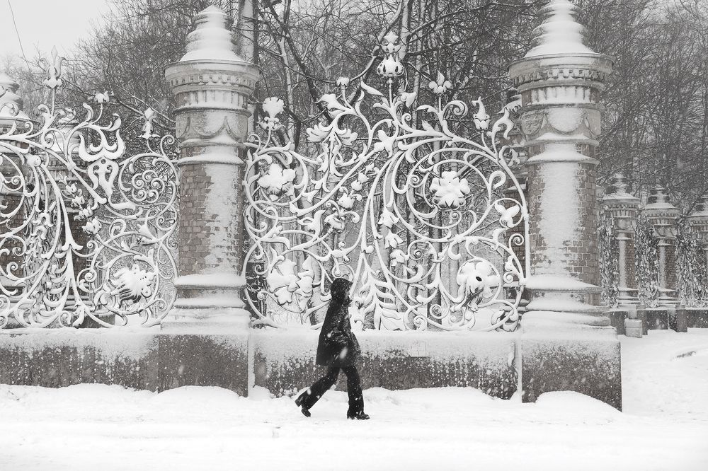 Photograph by Наталья Суслова