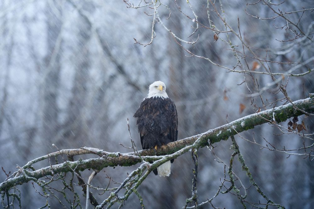 Фотография автора Karthik Subramaniam
