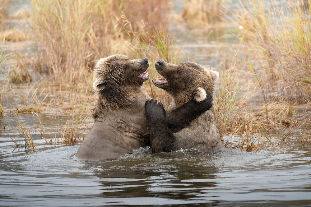 Photograph by Karthik Subramaniam