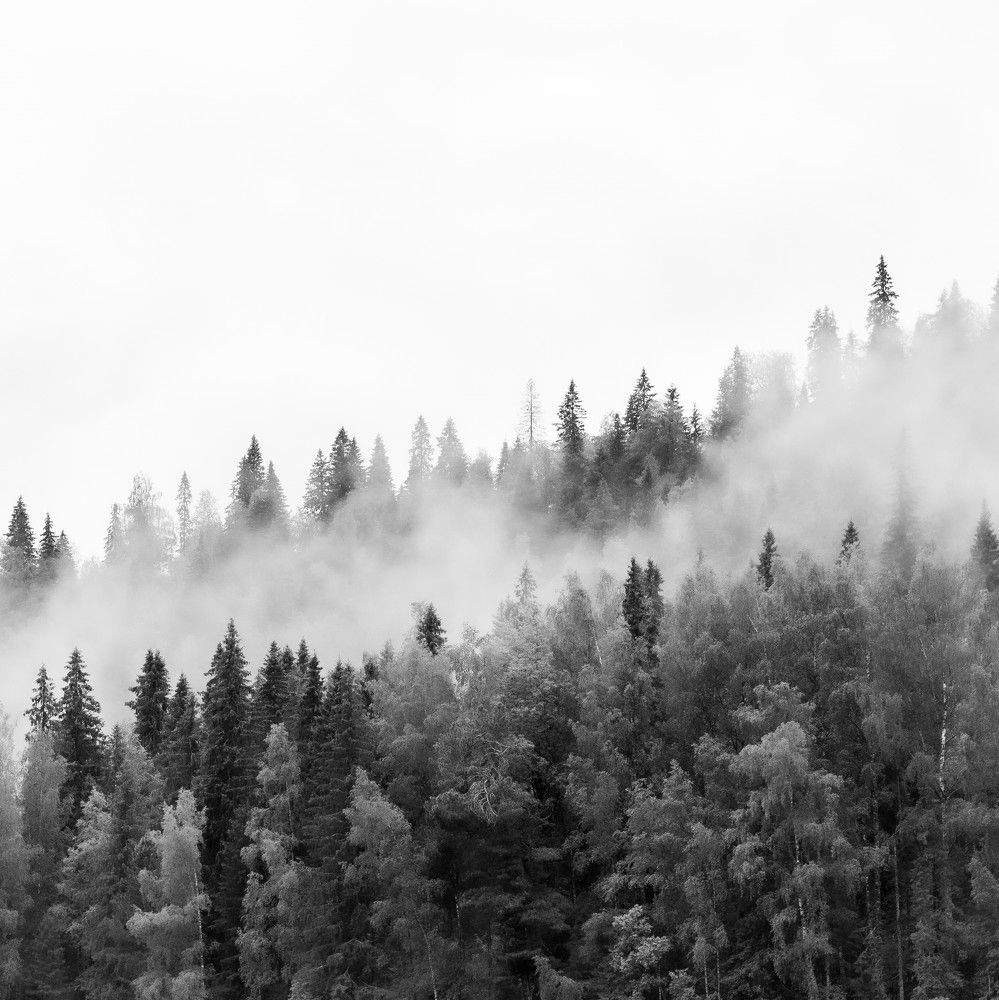 Фотография автора Рохмистрова Мария