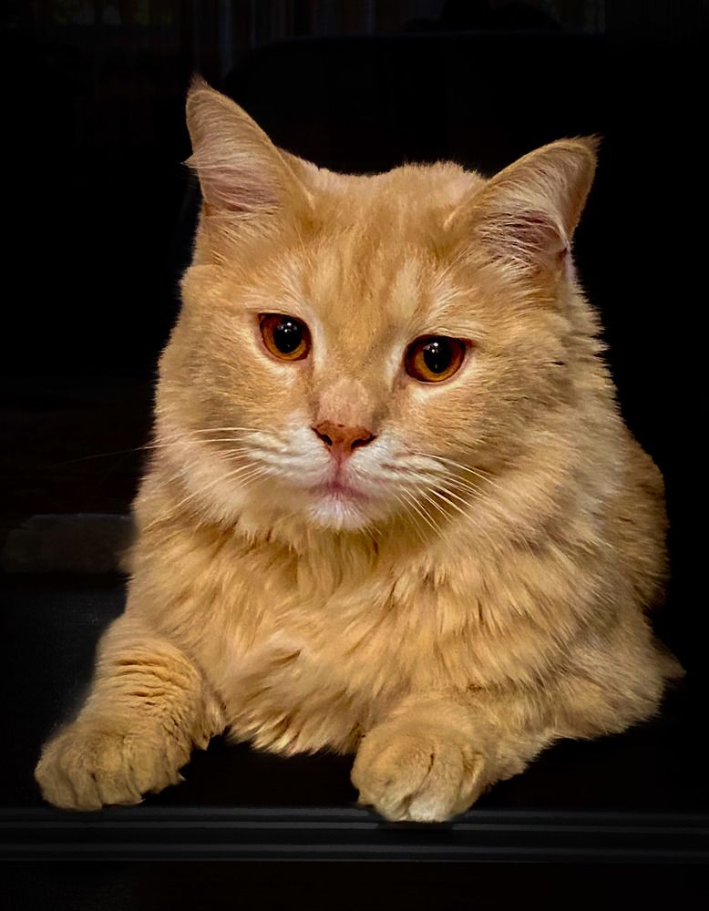 Photograph by Елена Шкред