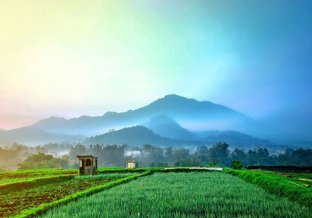 Photograph by Indonesia