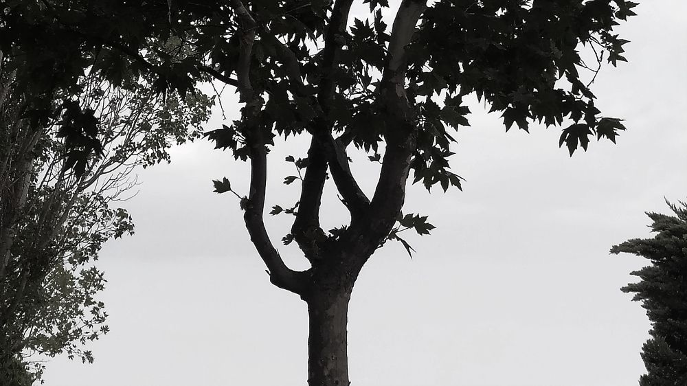 Photograph by Shahin Huseynli