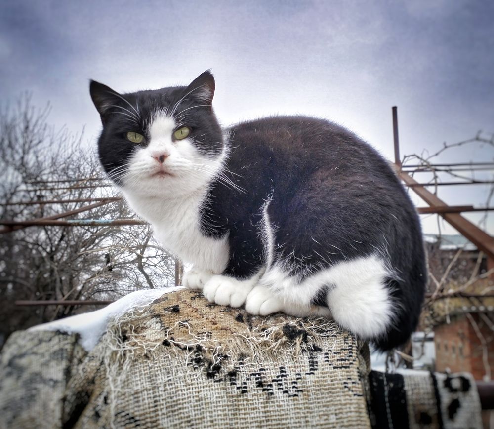 Photograph by Редько Александр