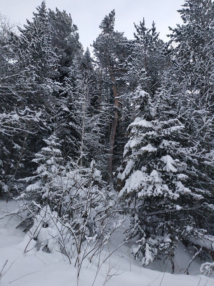 Photograph by Екатерина Евгеньевна