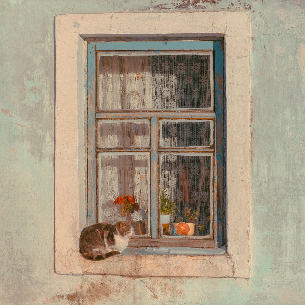 Photograph by Владислав Гриднев