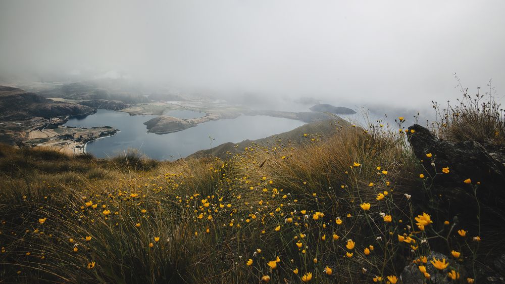 Фотография автора Csépe Róbert