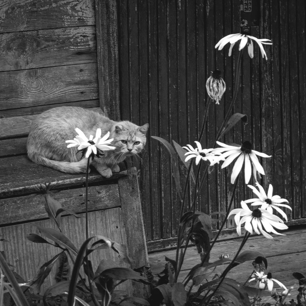 Photograph by Владислав Гриднев