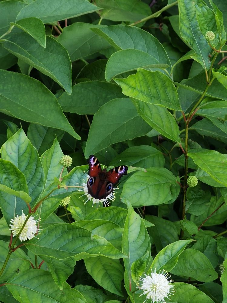 Photograph by Анастасия Мальцева