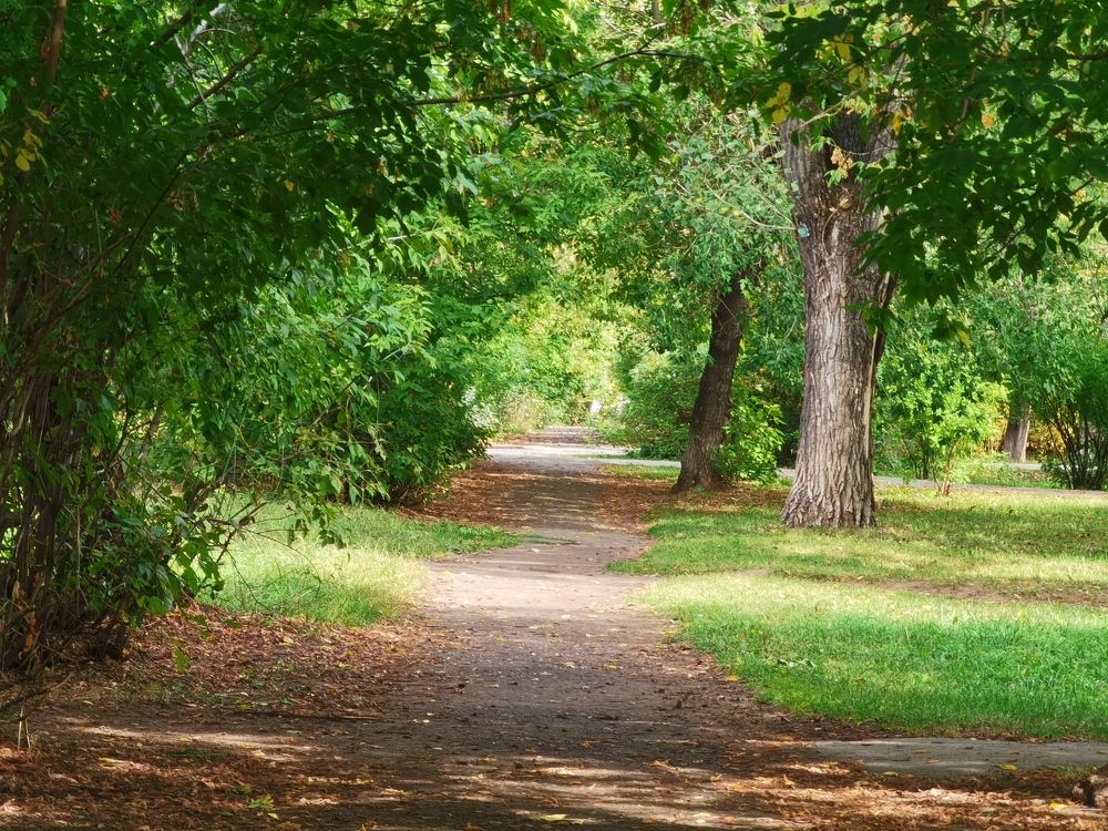 Photograph by Анастасия Мальцева