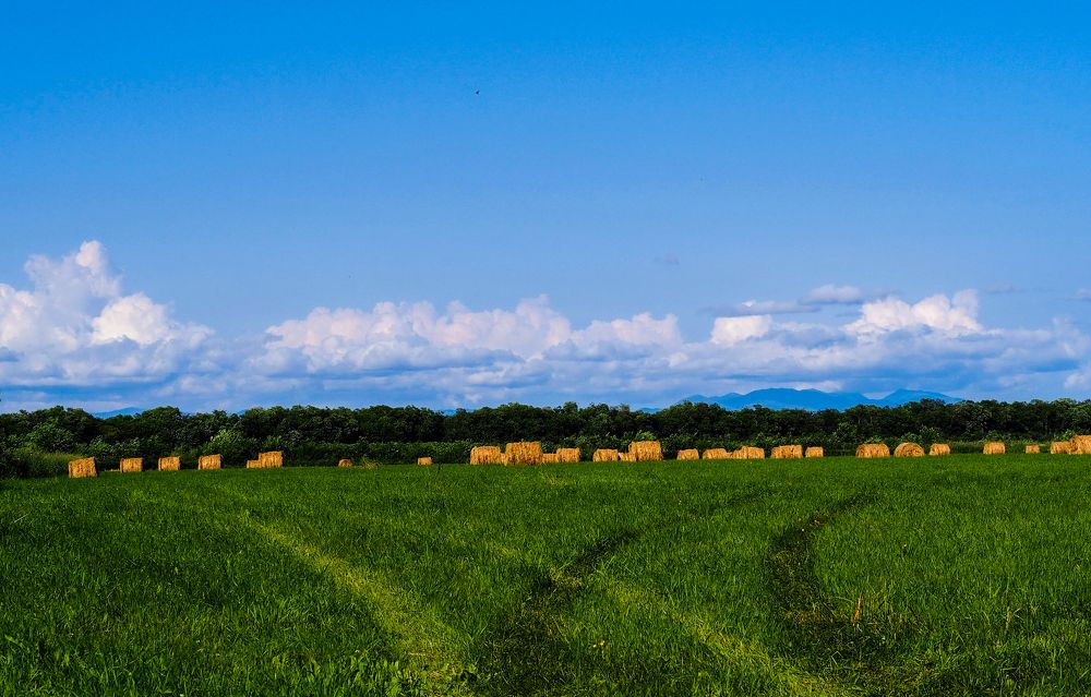 Фотография автора Olena Vorotyntseva