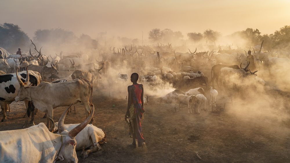 Photograph by Labarrere Patrick