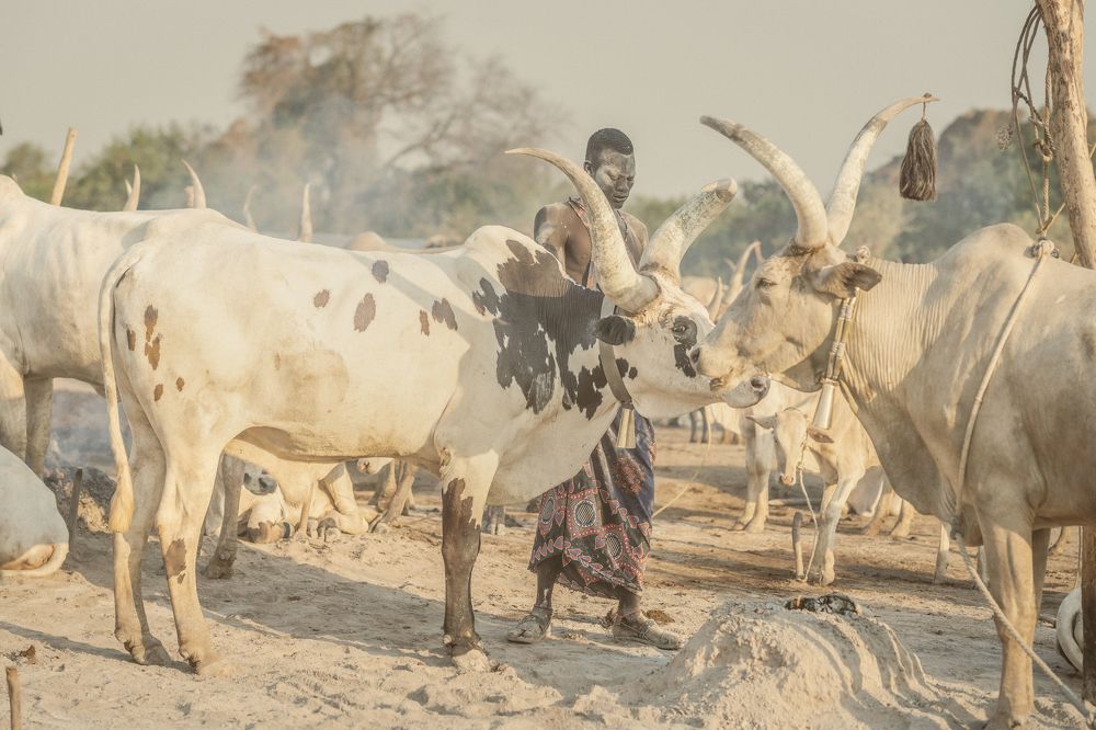 Photograph by Labarrere Patrick