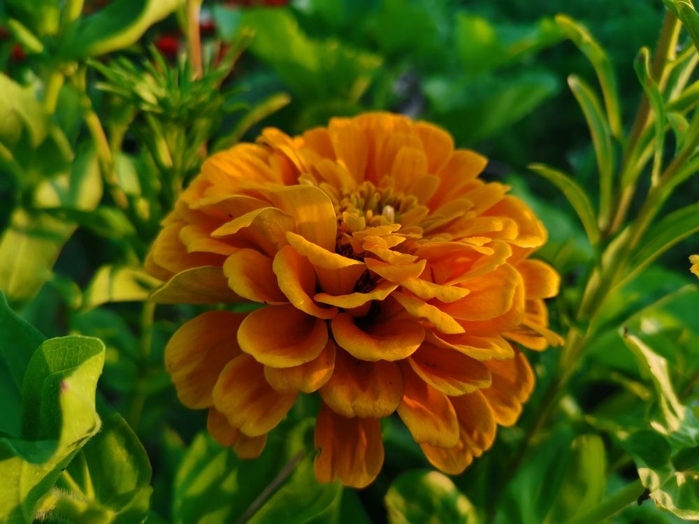 Photograph by Калинина Анастасия