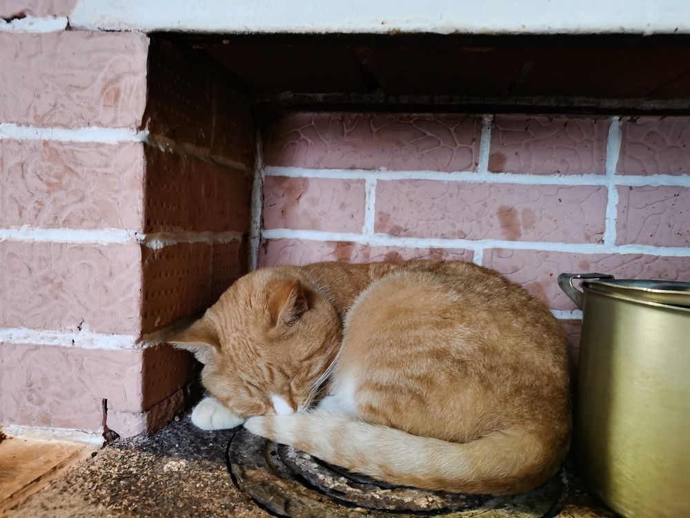 Photograph by Калинина Анастасия