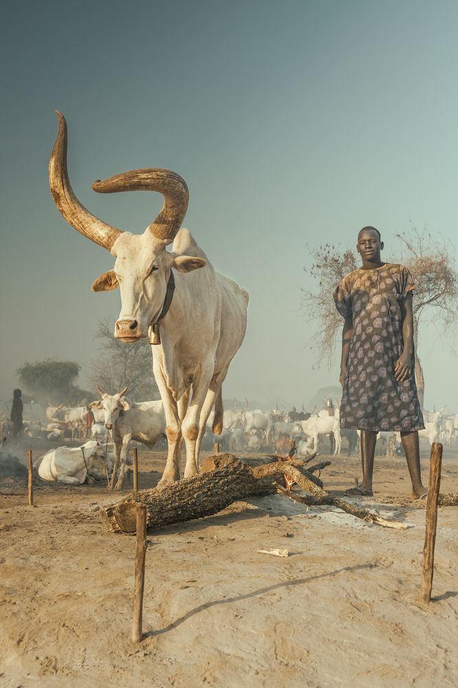 Photograph by Labarrere Patrick