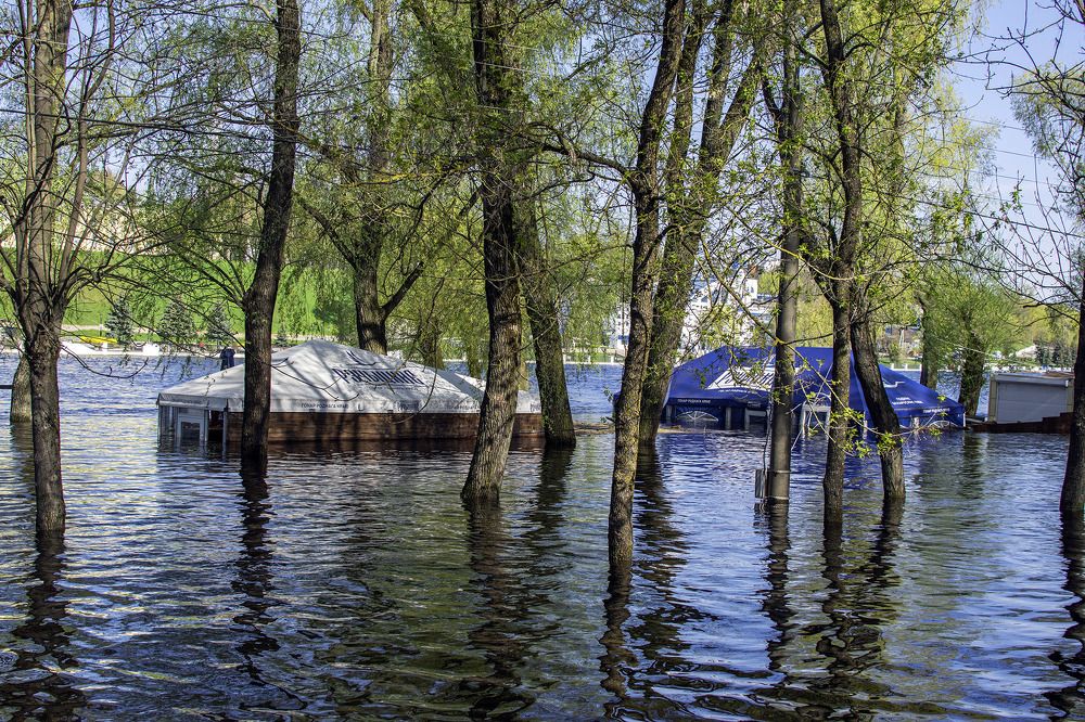 Фотография автора Андрей Гордиенко