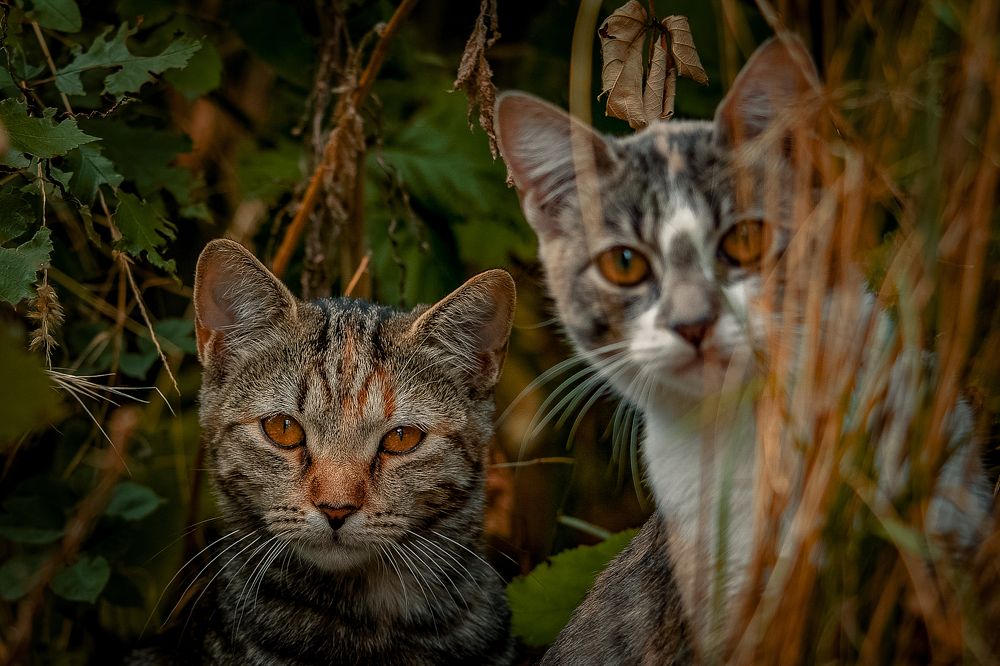 Photograph by Алексей Шевченко