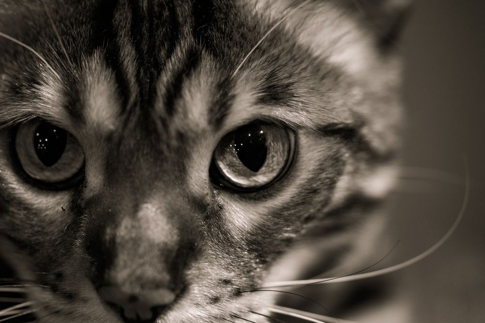 Photograph by Алексей Шевченко