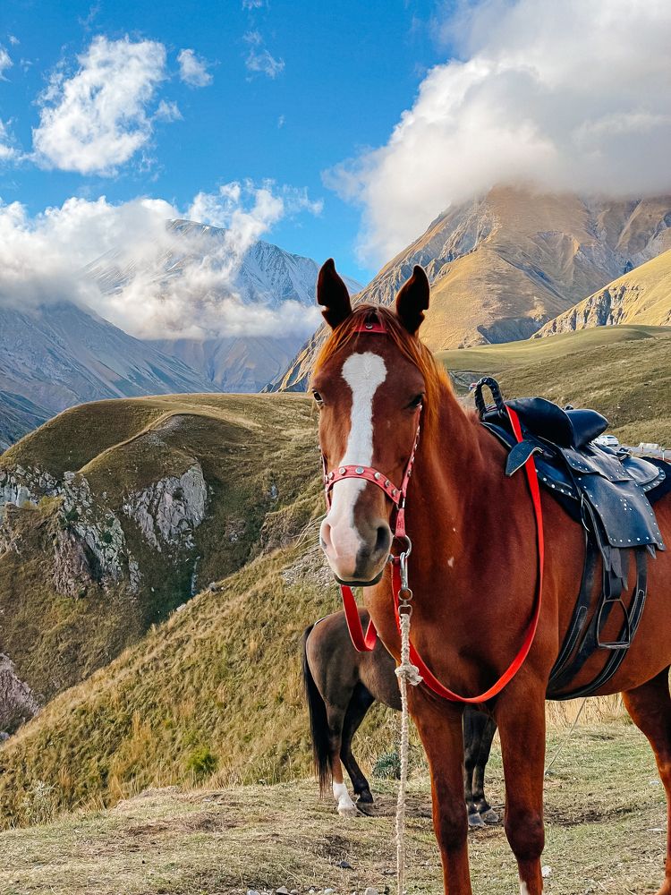 Photograph by Элизабет Гусакова