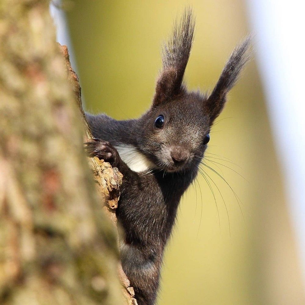 Photograph by Hell Boy